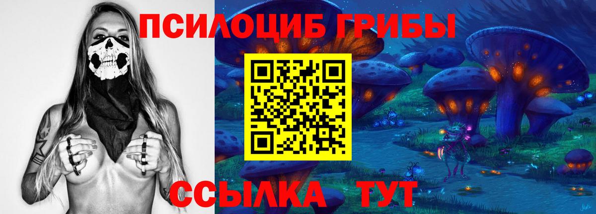 Псилоцибиновые грибы Magic Shrooms Владивосток