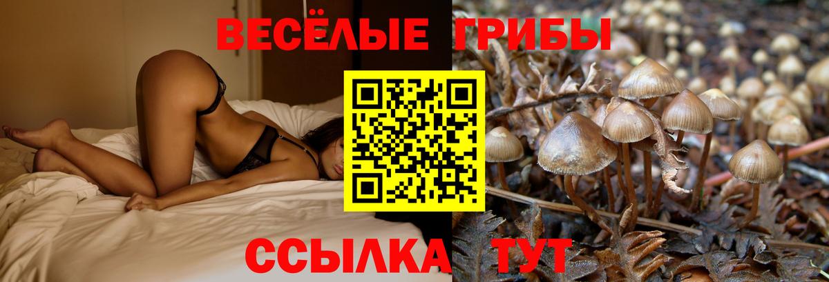 Владивосток  Галлюциногенные грибы ЛСД  Галлюциногенные грибы ЛСД  Вход с VPN 